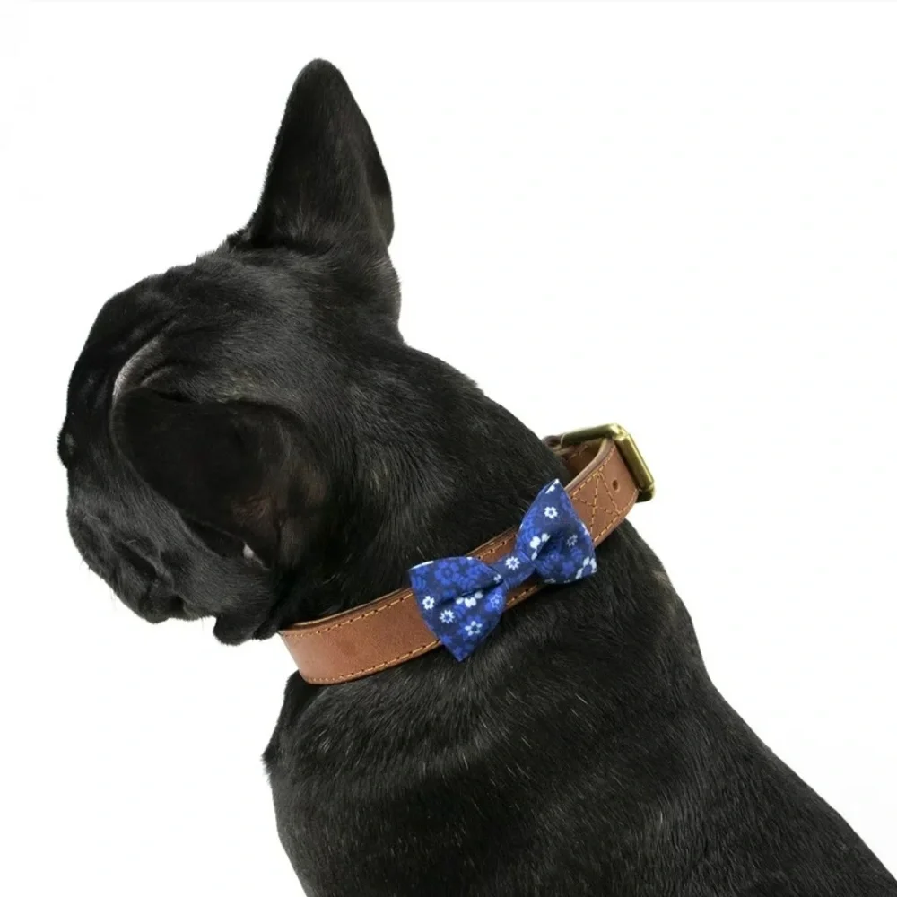 Vibrant Life Dog Bandana & Collar Clip Set, 
